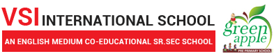 VSI International Sr. Secondary School (Sec. 5, Pratap Nagar, Sanganer, Jaipur)