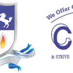 Central Public School(CPS) (Udaipur, Rajasthan)